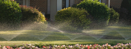 garden irrigation