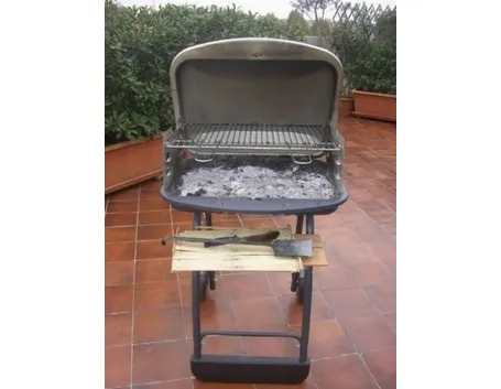 Barbecue a carbonella