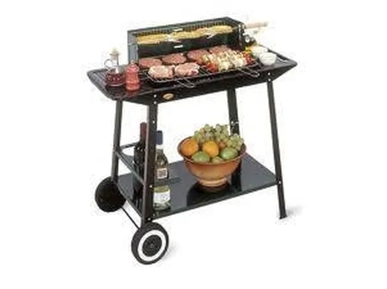 barbecue a carbonella