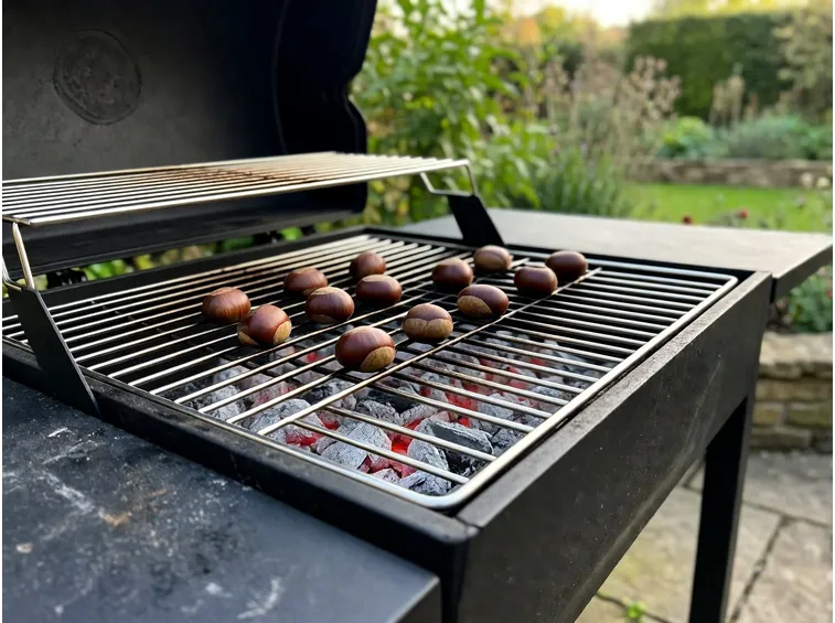 Cottura sul barbecue con legna o carbonella