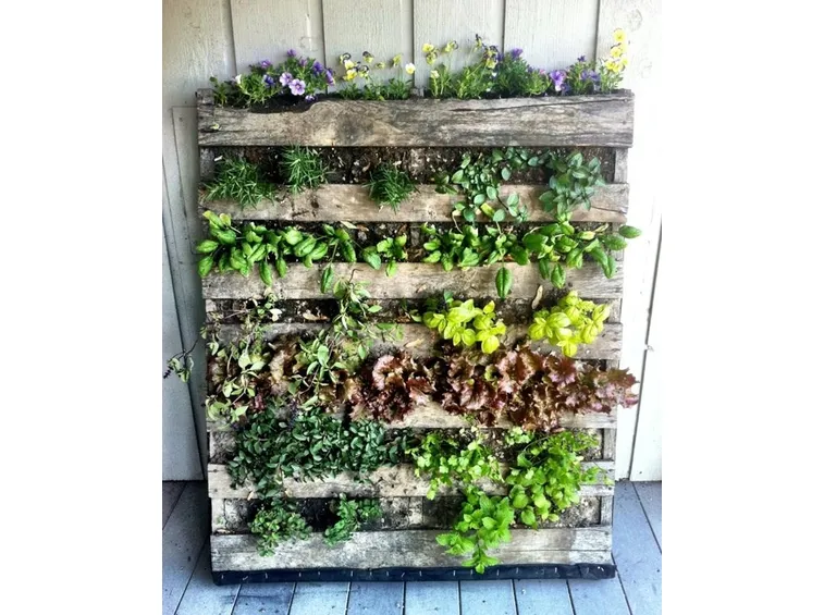 pallet fiorito