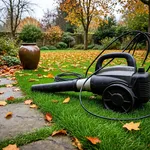 Perché il soffiatore cambia la raccolta delle foglie in autunno