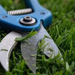 Perché settembre e ottobre sono i mesi giusti per la trasemina