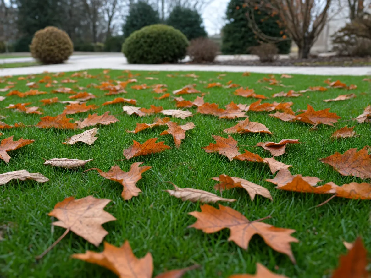 Quando fare l'ultimo taglio: i segnali da osservare tra ottobre e novembre