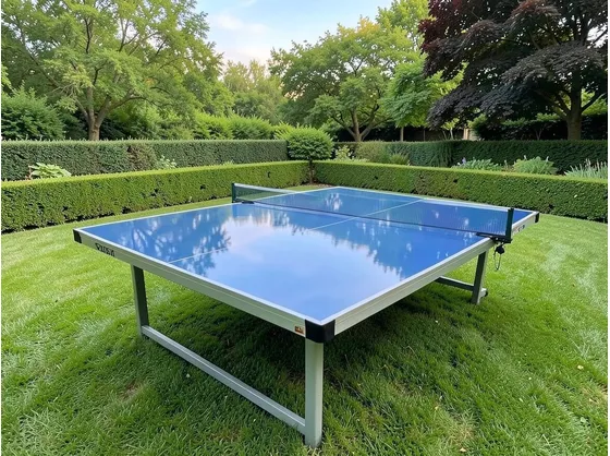tavolo ping pong