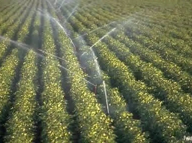 Esempio di irrigatore a intermittenza