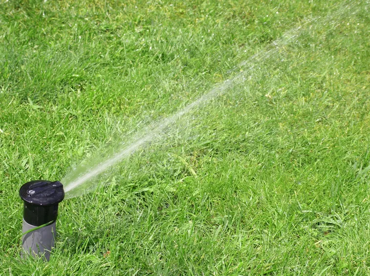 Un esempio d irrigatore a scomparsa.