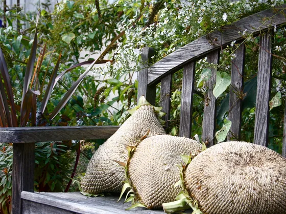 cuscini da giardino