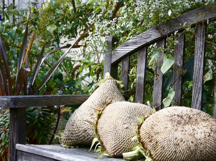 cuscini da giardino