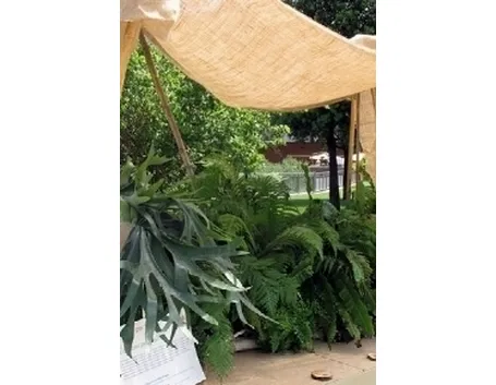 balcone romano