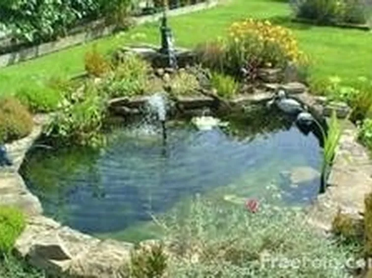 laghetto d'acqua