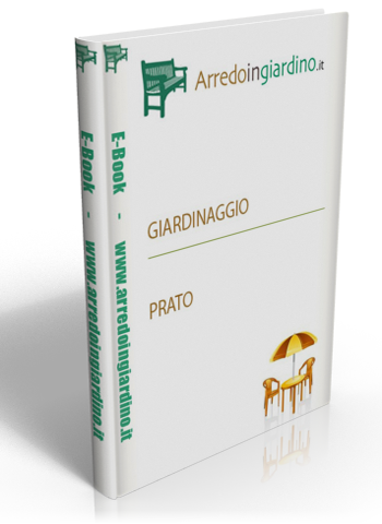 Prato