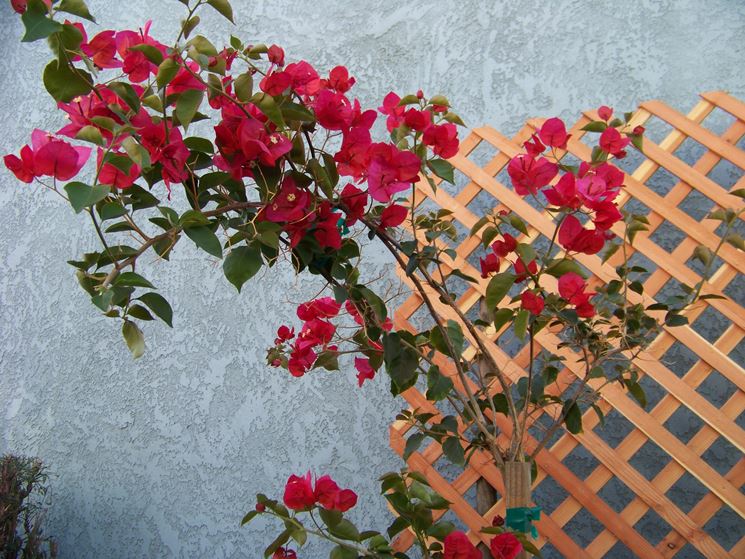 Grigliati in legno per balcone