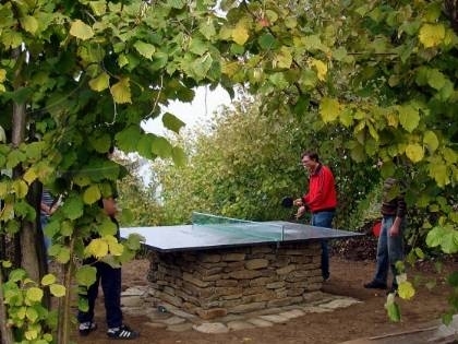 Tavolo Ping Pong Altri Giochi Da Esterno Tavoli Da Ping