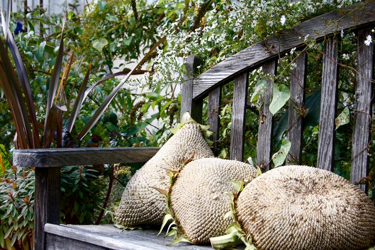 cuscini da giardino